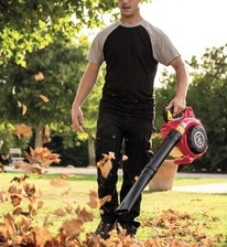 Honda Robotic lawnmowers